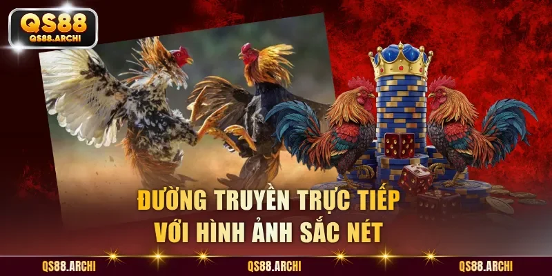 Đường truyền trực tiếp với hình ảnh sắc nét
