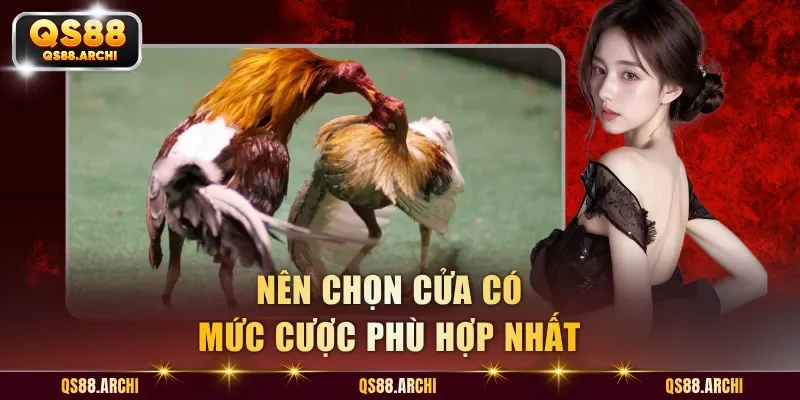 Nên chọn cửa có mức cược phù hợp nhất